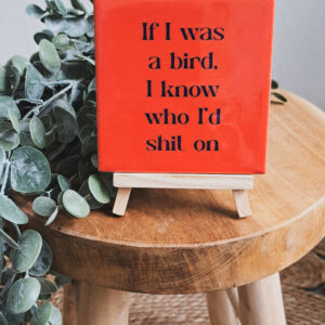 If I was a bird
