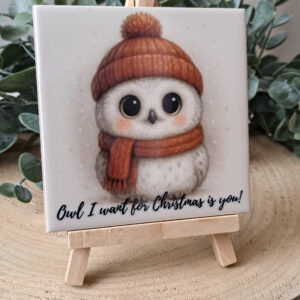 Owl I want for Christmas is you!