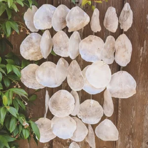 Schelpenhanger – Boho Beach Vibes